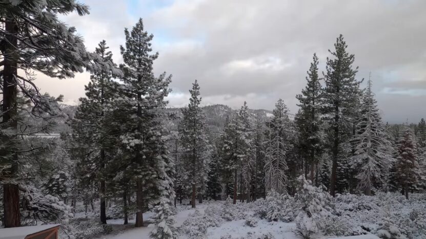 Lake Tahoe Snow - Forecast